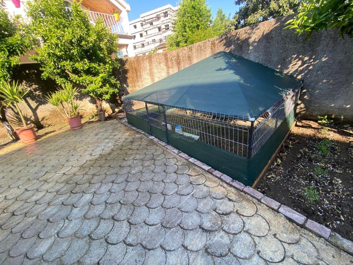 Gather Inn Guest House Shkodër Exterior foto